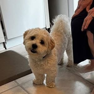 Meet your Posher, Sharon